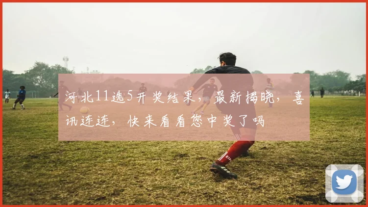 河北11选5开奖结果，最新揭晓，喜讯连连，快来看看您中奖了吗