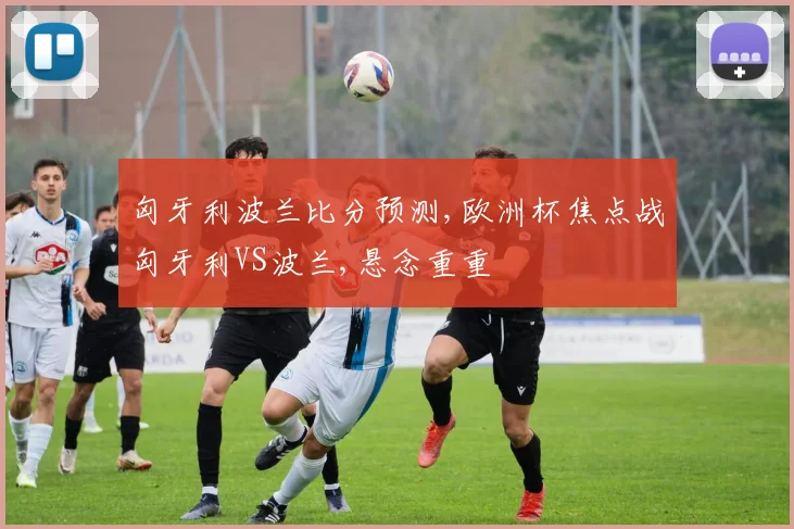 匈牙利波兰比分预测,欧洲杯焦点战匈牙利VS波兰,悬念重重