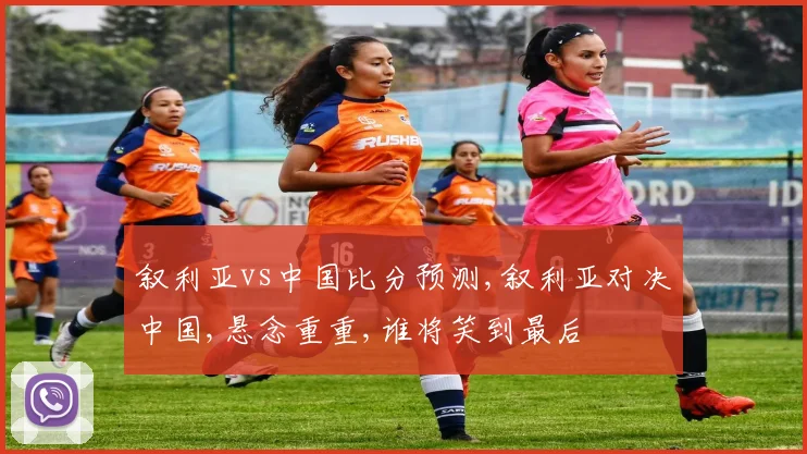 叙利亚vs中国比分预测,叙利亚对决中国,悬念重重,谁将笑到最后