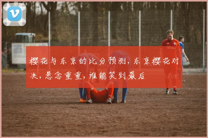 樱花与东京的比分预测,东京樱花对决,悬念重重,谁能笑到最后